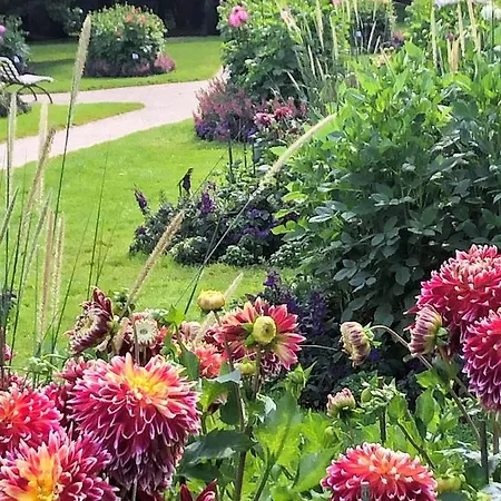 Wanderlust * 바덴바덴